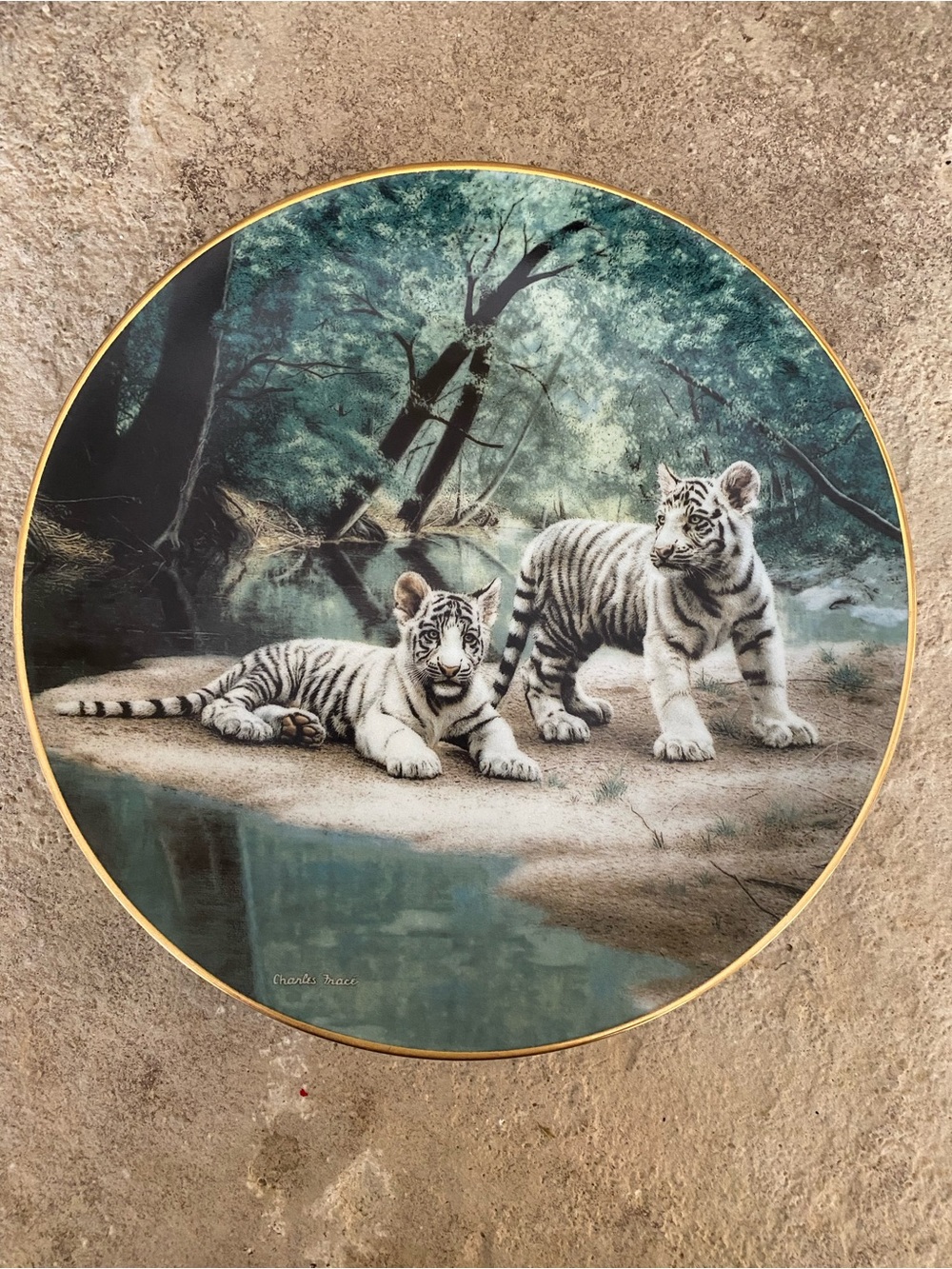 White Tiger Cubs decorative plate.